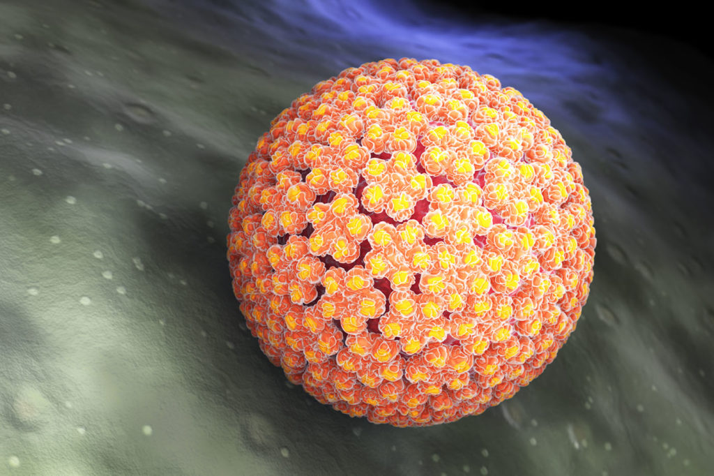 Cancers caused by viruses can be prevented with vaccines.