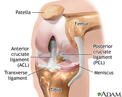 Knee Injuries and Disorders - Frontline ER Houston